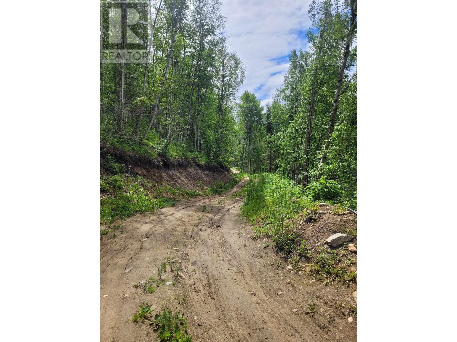 3260 Mountain View Road, Mcbride, British Columbia  V0J 2E0 - Photo 18 - R2868721