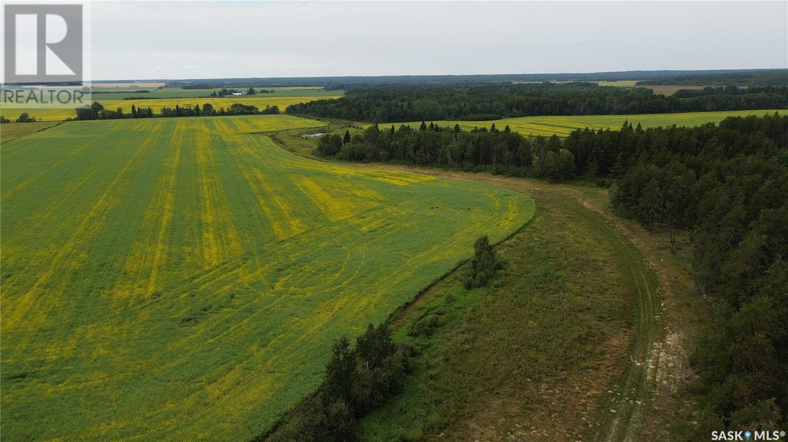 White Farm, Torch River Rm No. 488, Saskatchewan  S0J 2H0 - Photo 11 - SK975633