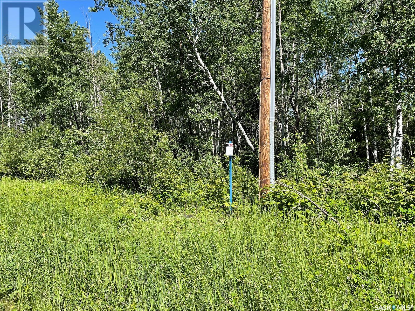 4 Poplar Place, Paddockwood Rm No. 520, Saskatchewan  S0J 1T0 - Photo 7 - SK975637