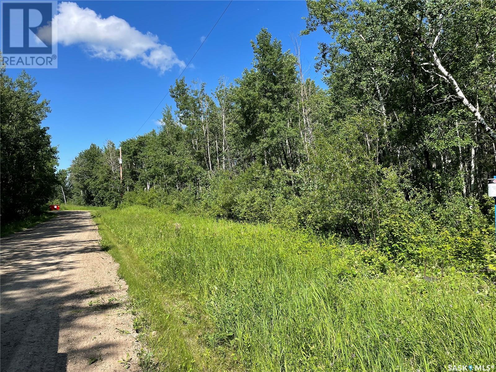 4 Poplar Place, Paddockwood Rm No. 520, Saskatchewan  S0J 1T0 - Photo 8 - SK975637
