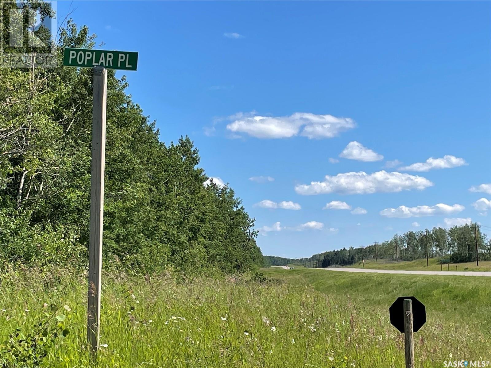 4 Poplar Place, Paddockwood Rm No. 520, Saskatchewan  S0J 1T0 - Photo 9 - SK975637