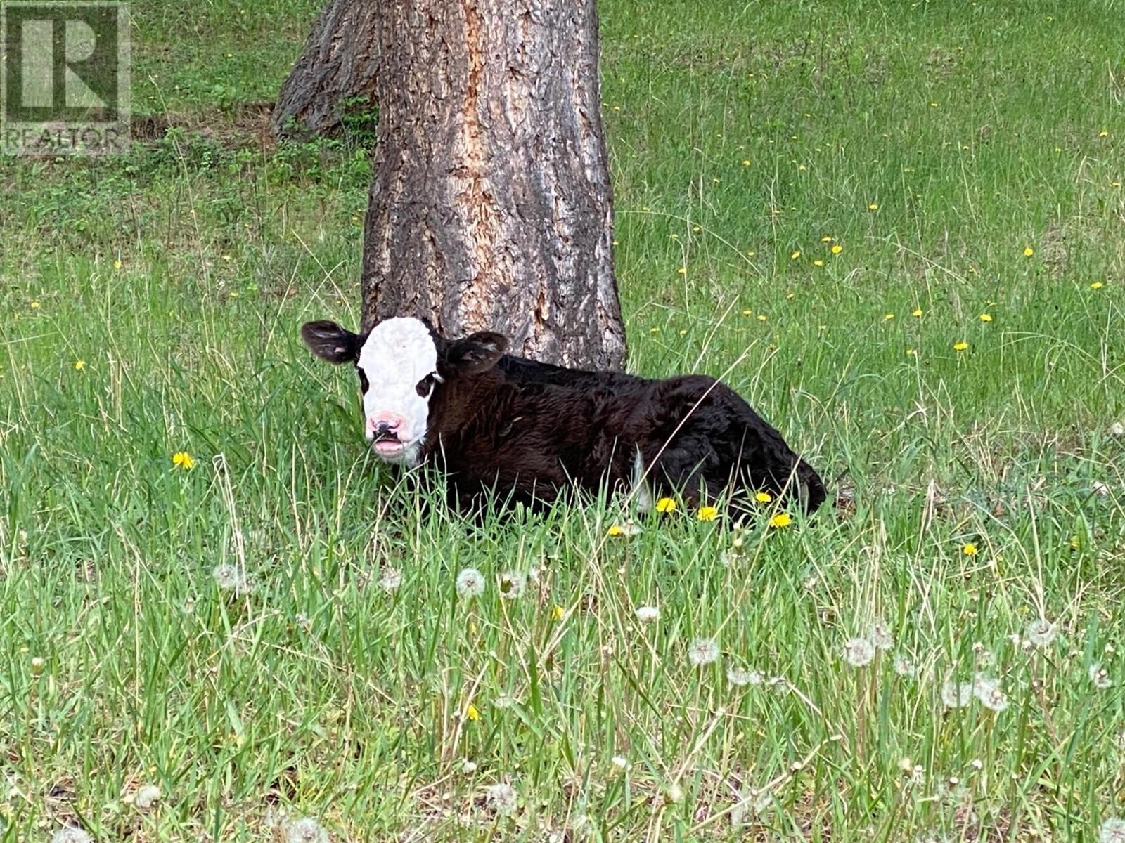 2673 Agate Bay Rd, Barriere, British Columbia  V0E 2E0 - Photo 13 - 178456