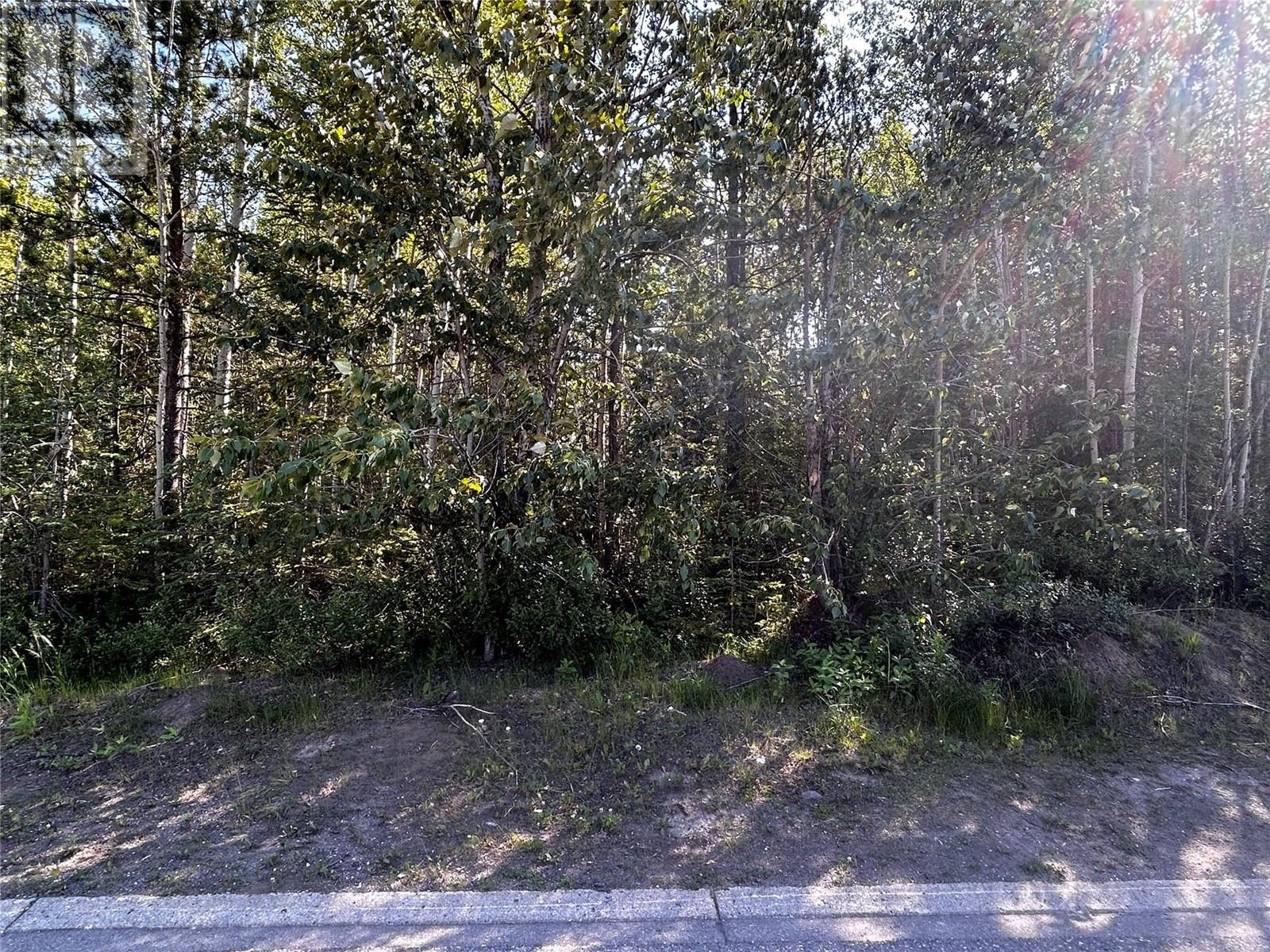 Lorem Ipsum Dolo, Tumbler Ridge, British Columbia  V0C  - Photo 2 - DEMO27129394