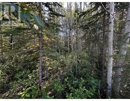 160 Murray Drive, tumbler ridge, British Columbia