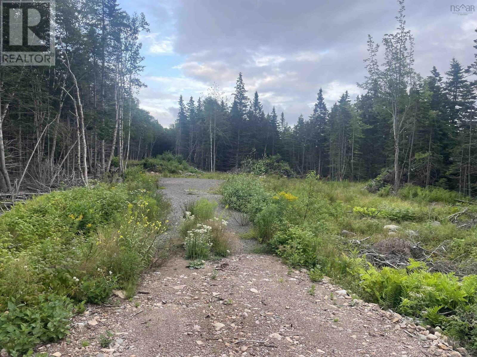 Cabot Trail, Wreck Cove, Nova Scotia  B0E 1B0 - Photo 5 - 202413477