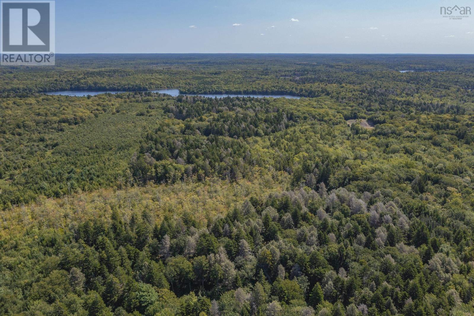 Major Road, Clare, Nova Scotia  B0W 1M0 - Photo 7 - 202415840