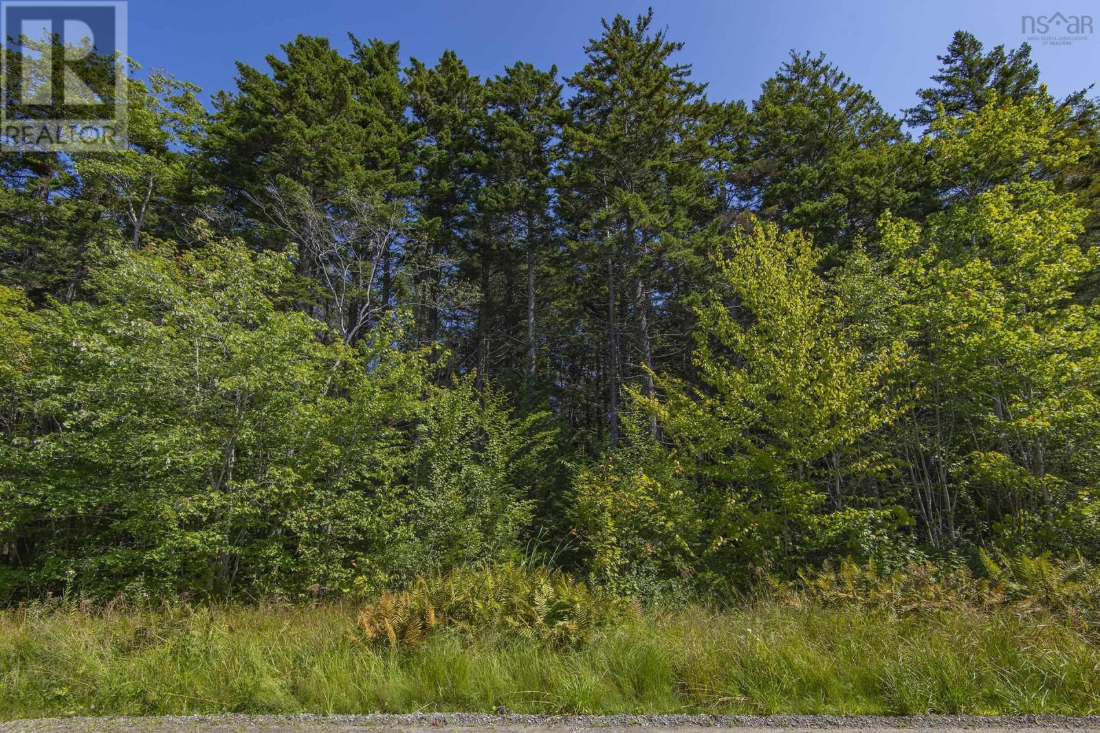 Major Road, Clare, Nova Scotia  B0W 1M0 - Photo 9 - 202415840