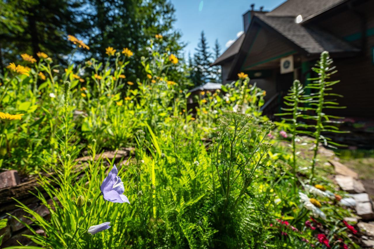 6040 Pine Ridge Road, Kaslo, British Columbia  V0G 1M0 - Photo 64 - 2478183