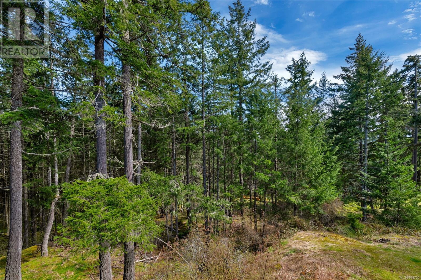 Property at 266 Canvasback Pl image 5