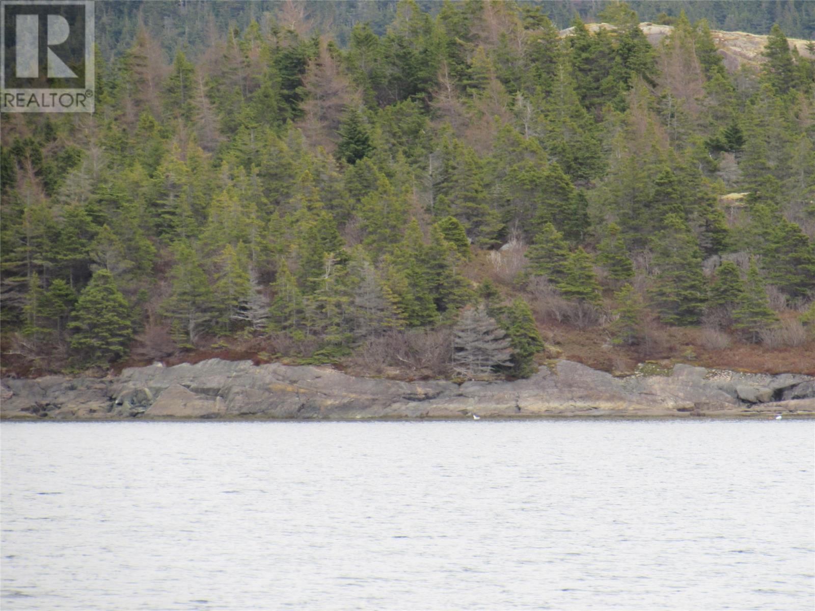 0-B Bally Hack Cove, Avondale, Newfoundland & Labrador  A0A 1B0 - Photo 12 - 1274490
