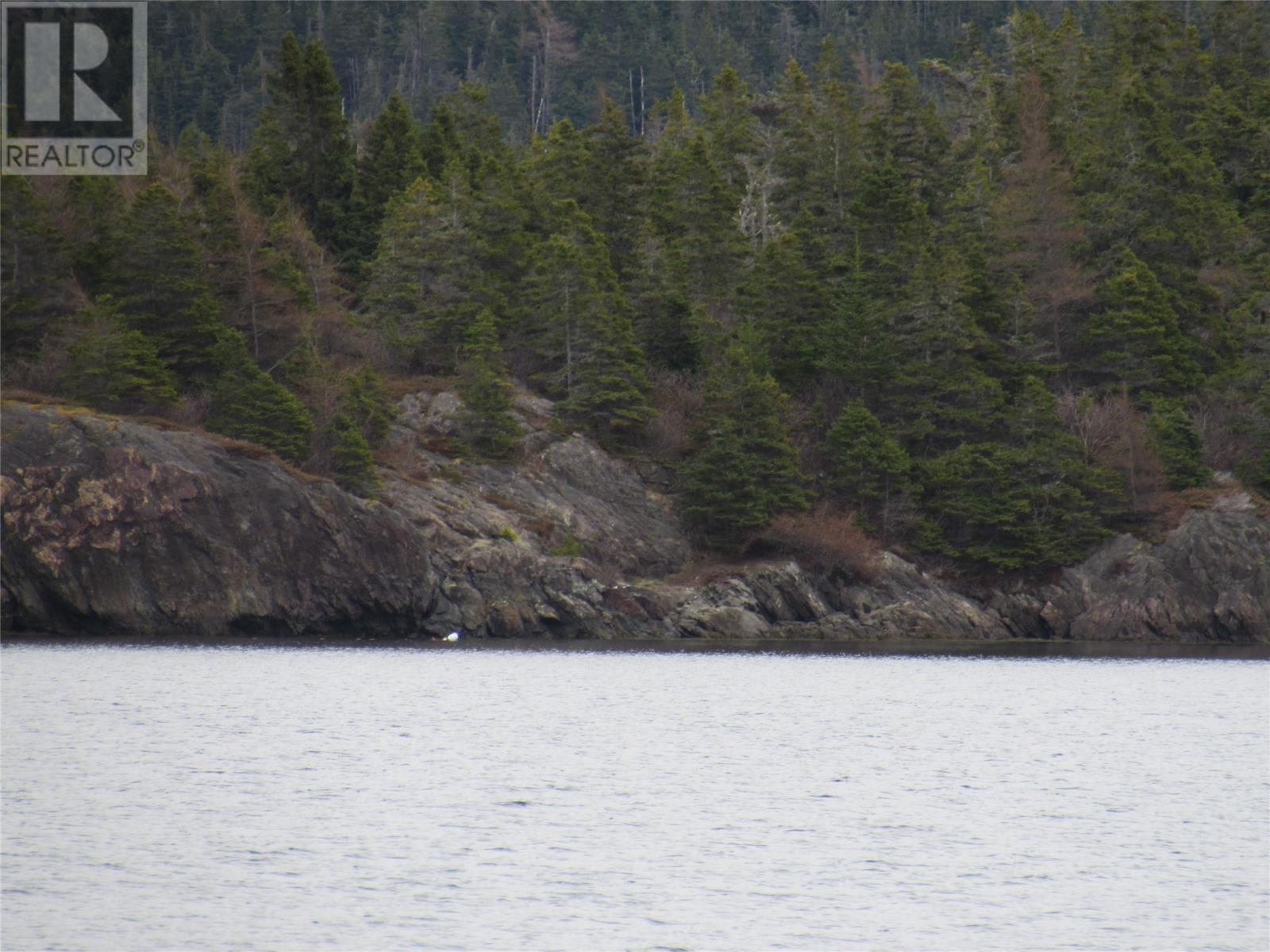 0-B Bally Hack Cove, Avondale, Newfoundland & Labrador  A0A 1B0 - Photo 19 - 1274490