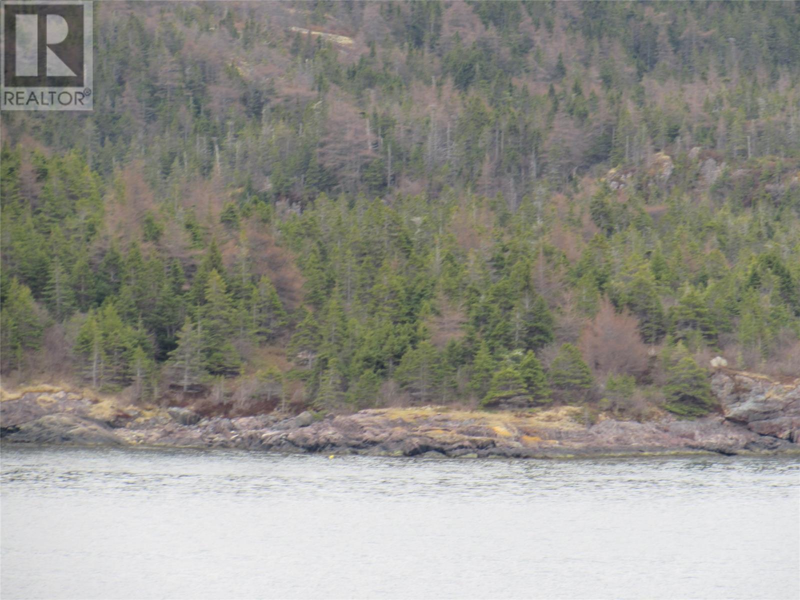 0-B Bally Hack Cove, Avondale, Newfoundland & Labrador  A0A 1B0 - Photo 24 - 1274490