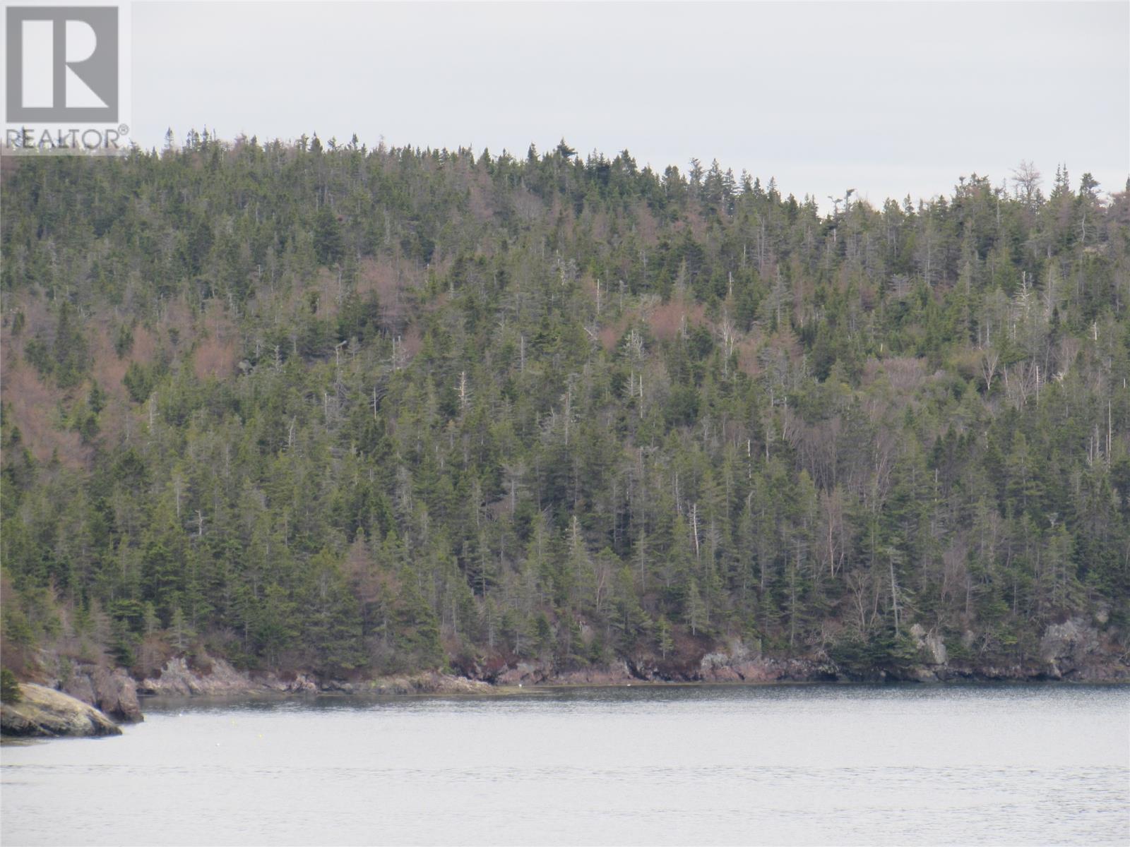 0-B Bally Hack Cove, Avondale, Newfoundland & Labrador  A0A 1B0 - Photo 35 - 1274490