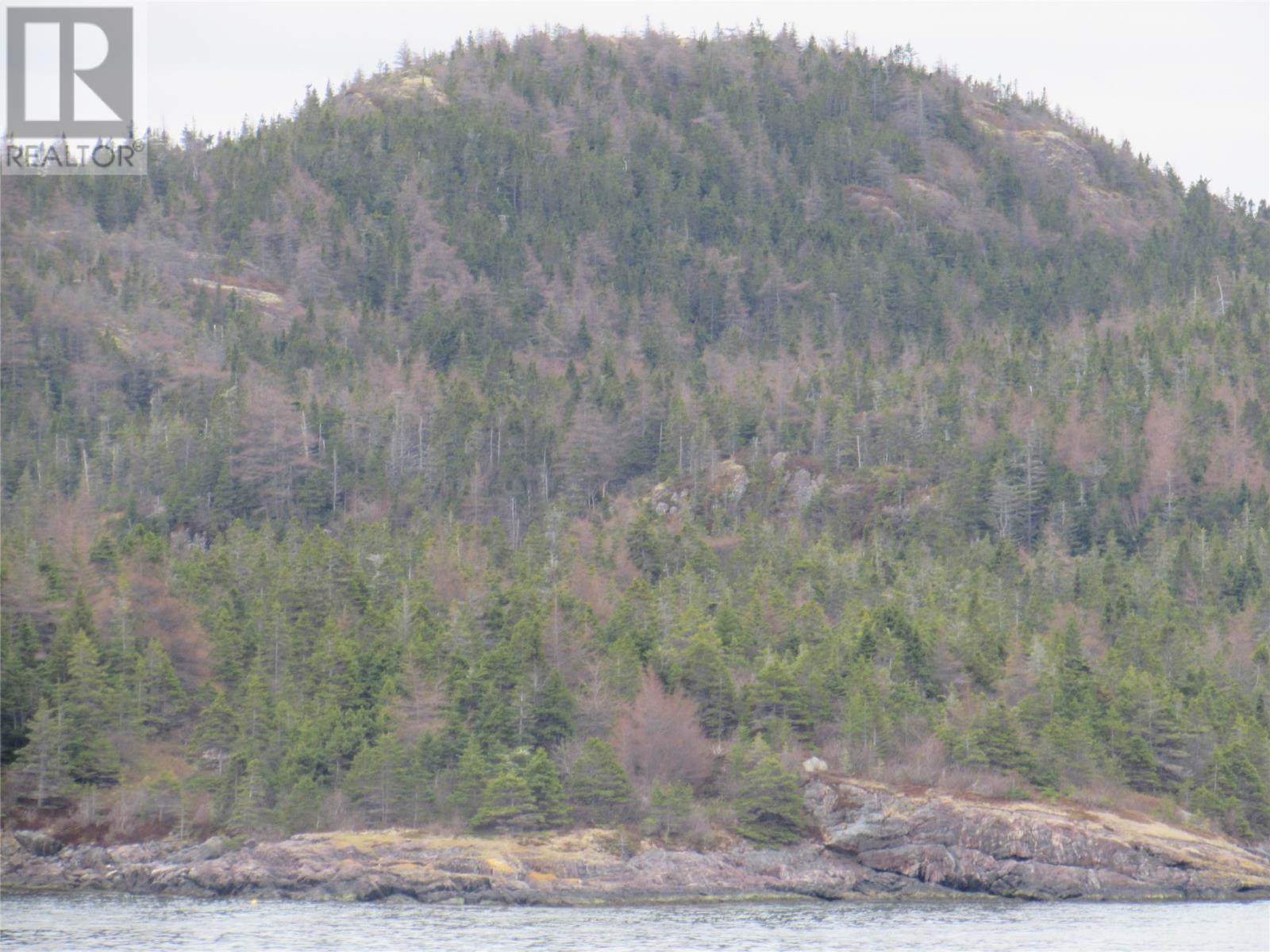0-B Bally Hack Cove, Avondale, Newfoundland & Labrador  A0A 1B0 - Photo 36 - 1274490