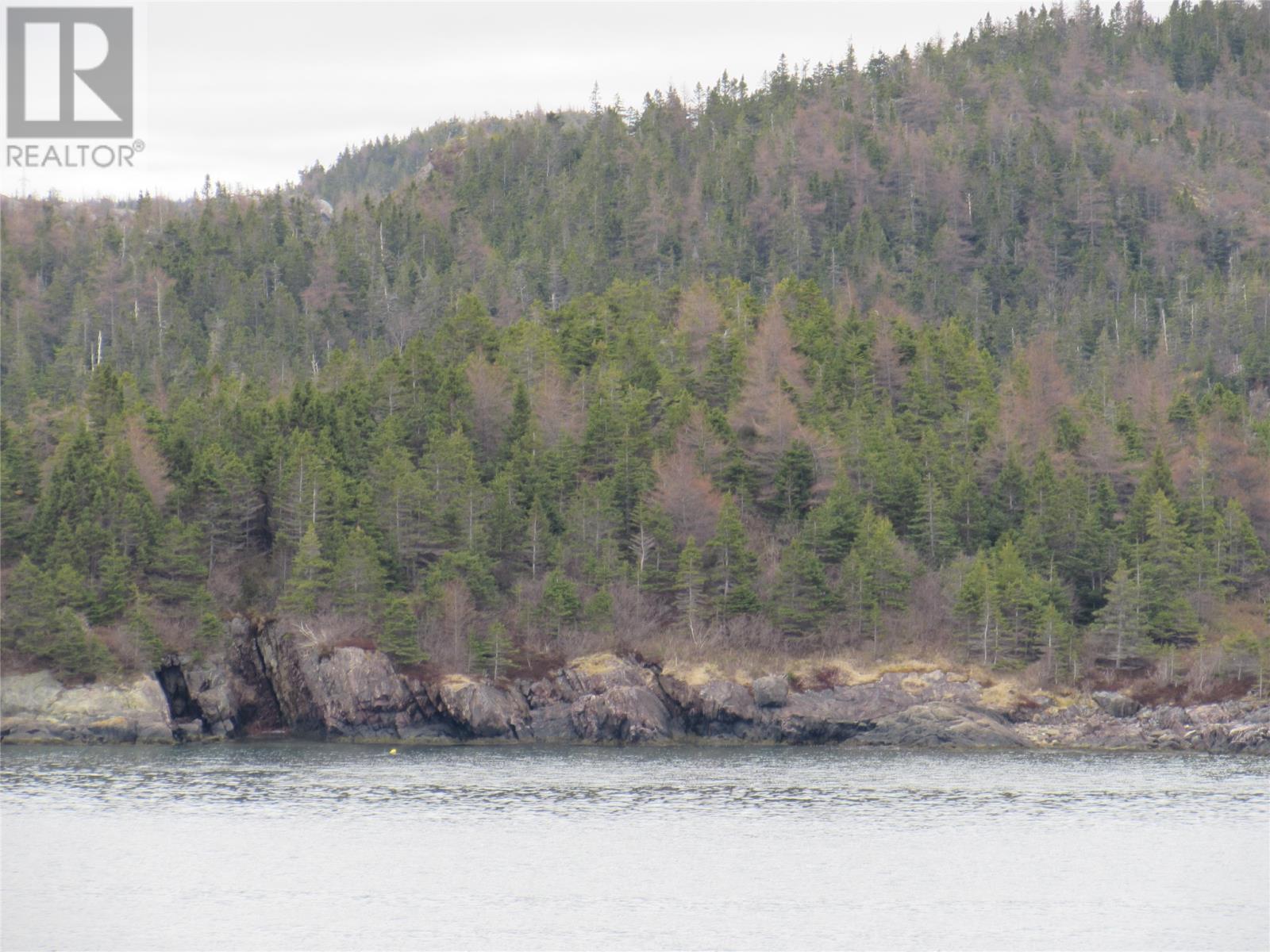 0-B Bally Hack Cove, Avondale, Newfoundland & Labrador  A0A 1B0 - Photo 38 - 1274490