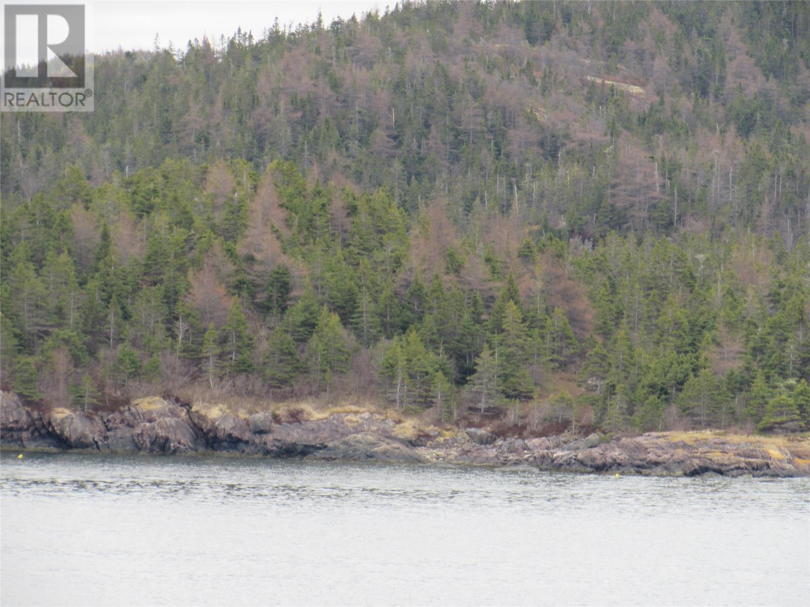 0-B Bally Hack Cove, Avondale, Newfoundland & Labrador  A0A 1B0 - Photo 39 - 1274490