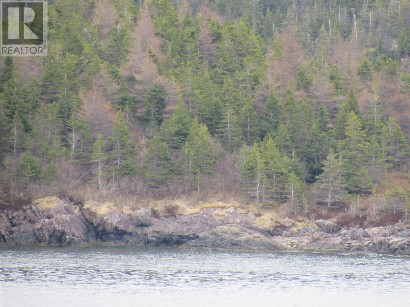 0-B Bally Hack Cove, Avondale, Newfoundland & Labrador  A0A 1B0 - Photo 42 - 1274490