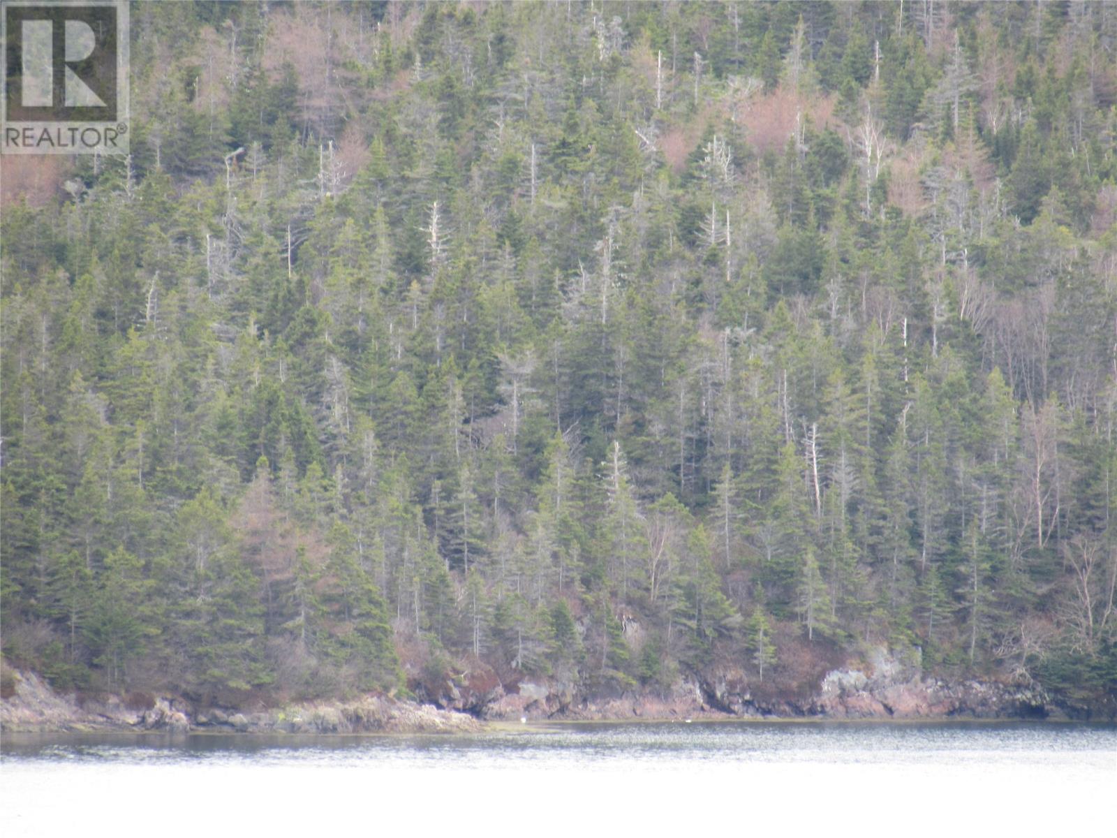 0-B Bally Hack Cove, Avondale, Newfoundland & Labrador  A0A 1B0 - Photo 43 - 1274490