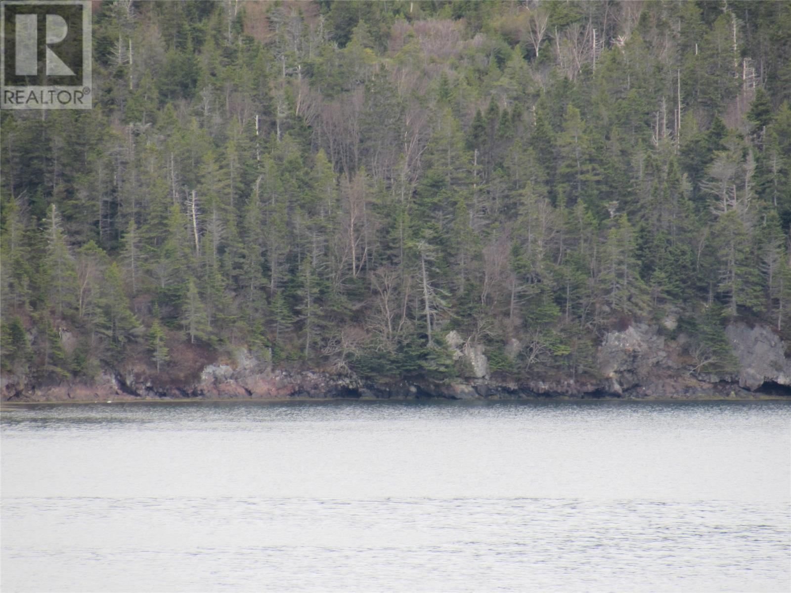 0-B Bally Hack Cove, Avondale, Newfoundland & Labrador  A0A 1B0 - Photo 45 - 1274490