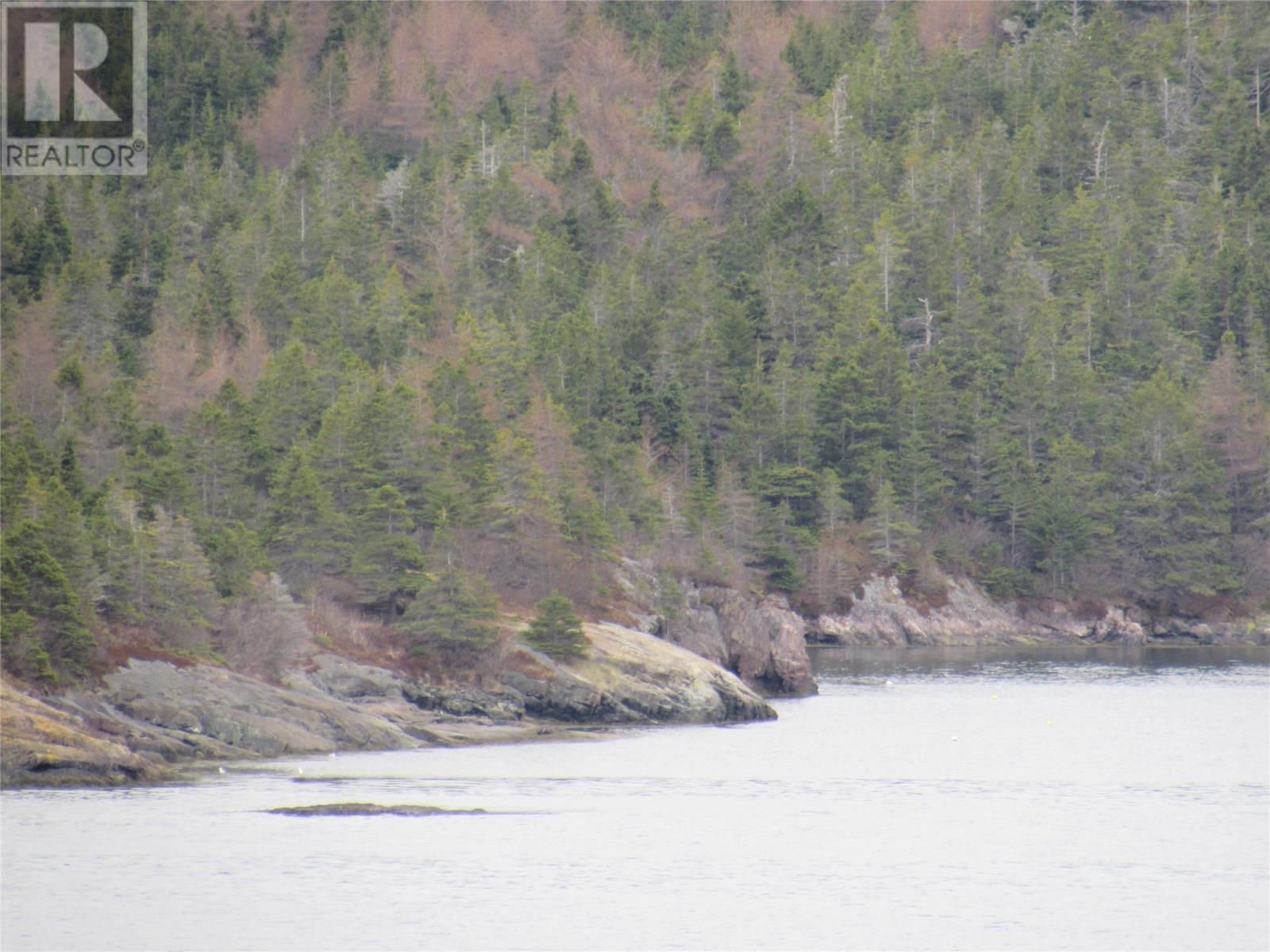 0-B Bally Hack Cove, Avondale, Newfoundland & Labrador  A0A 1B0 - Photo 46 - 1274490
