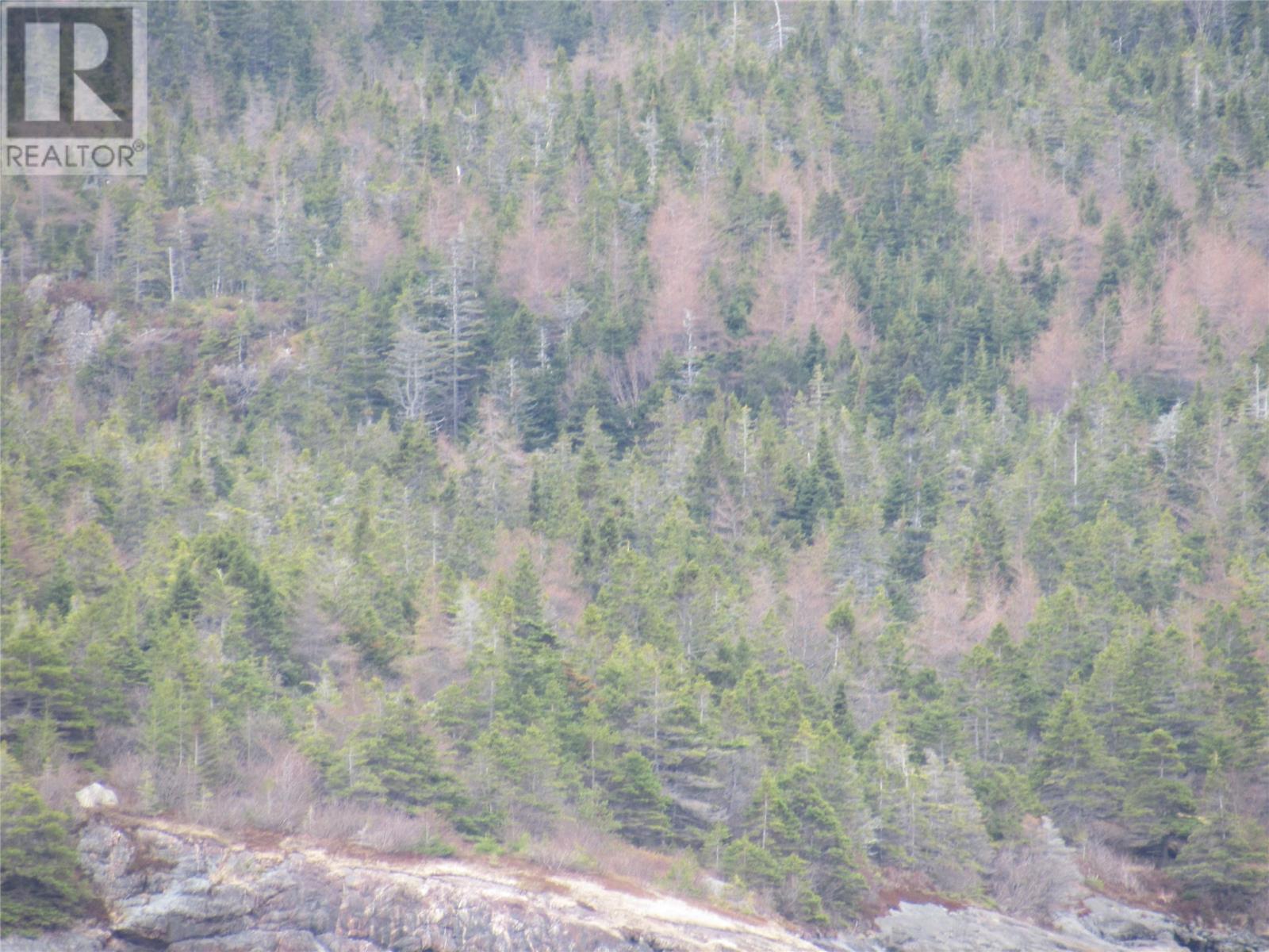 0-B Bally Hack Cove, Avondale, Newfoundland & Labrador  A0A 1B0 - Photo 47 - 1274490