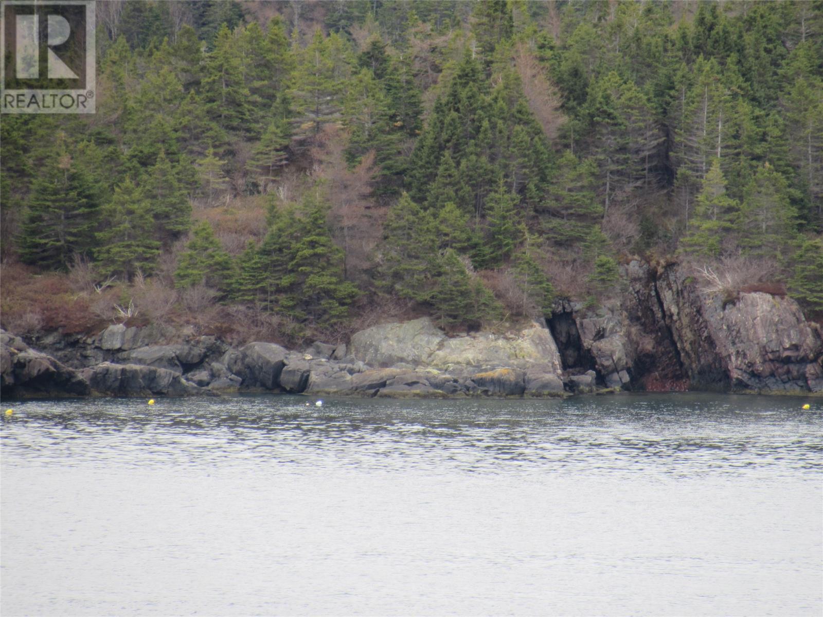 0-B Bally Hack Cove, Avondale, Newfoundland & Labrador  A0A 1B0 - Photo 49 - 1274490