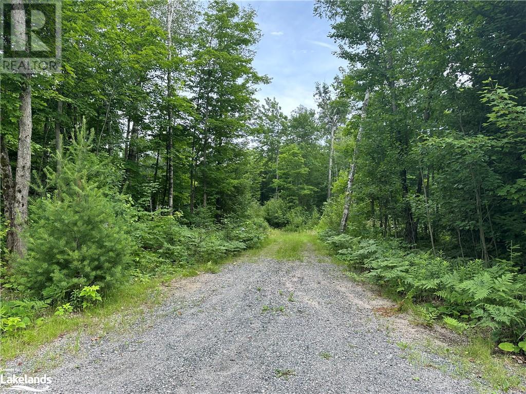 54 Woods Road, Nobel, Ontario  P0G 1G0 - Photo 2 - 40616270