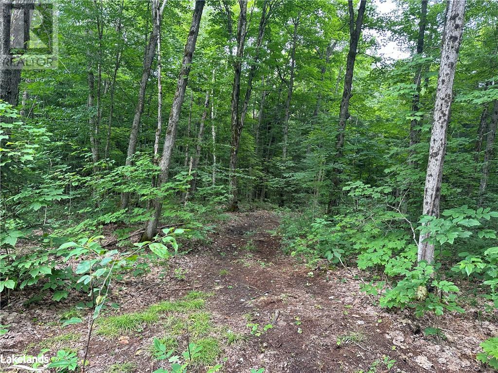 54 Woods Road, Nobel, Ontario  P0G 1G0 - Photo 8 - 40616270