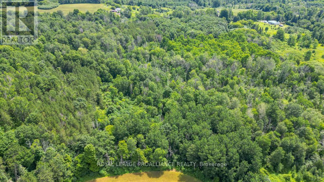 0 Valley Road, Cramahe (Castleton), Ontario  K0K 1M0 - Photo 14 - X9014523