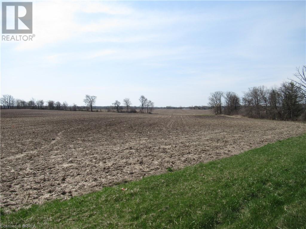 234 Smithville Road, Dunnville, Ontario  N1A 2W1 - Photo 3 - 40616011
