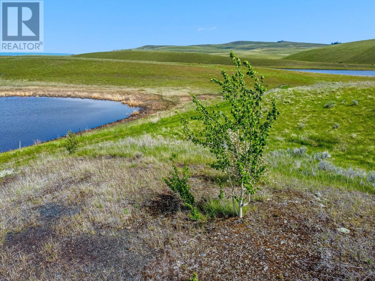 Beresford Road, Kamloops, British Columbia   - Photo 6 - 179713