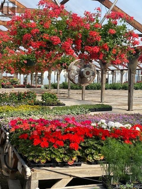 2012 Anderton Rd, Comox, British Columbia  V9M 4B1 - Photo 54 - 967342