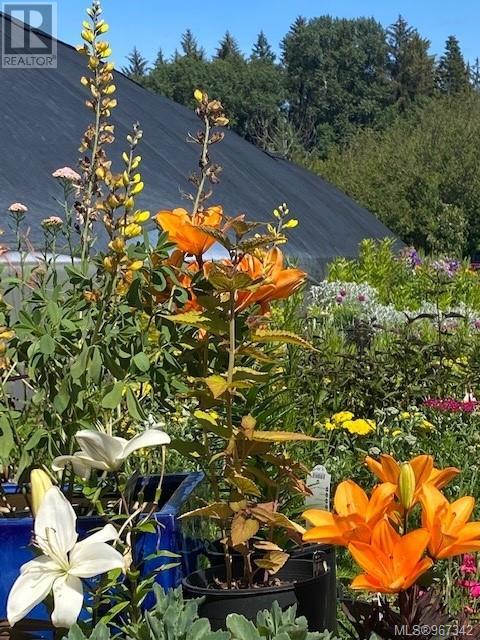 2012 Anderton Rd, Comox, British Columbia  V9M 4B1 - Photo 59 - 967342