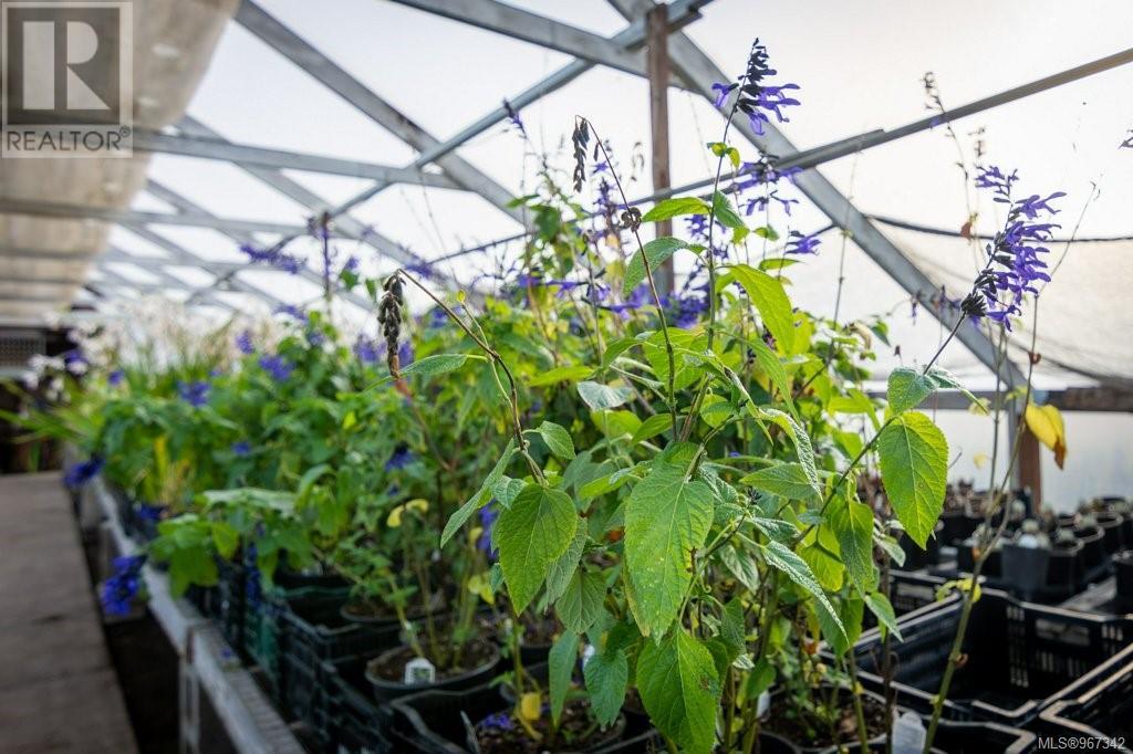 2012 Anderton Rd, Comox, British Columbia  V9M 4B1 - Photo 15 - 967342