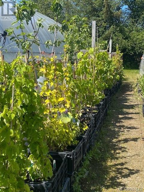 2012 Anderton Rd, Comox, British Columbia  V9M 4B1 - Photo 50 - 967342