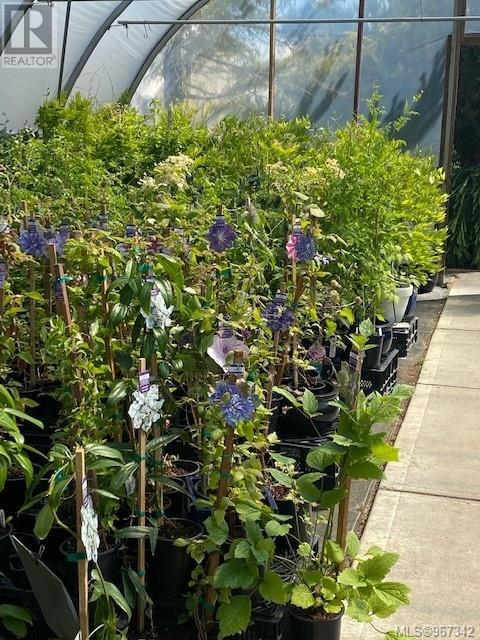 2012 Anderton Rd, Comox, British Columbia  V9M 4B1 - Photo 52 - 967342