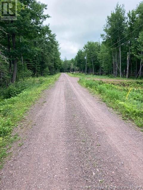 Lot Noble Lane, Maquapit Lake, New Brunswick  E4B 1P6 - Photo 26 - NB102337