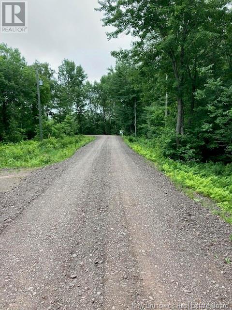 Lot Noble Lane, Maquapit Lake, New Brunswick  E4B 1P6 - Photo 25 - NB102337