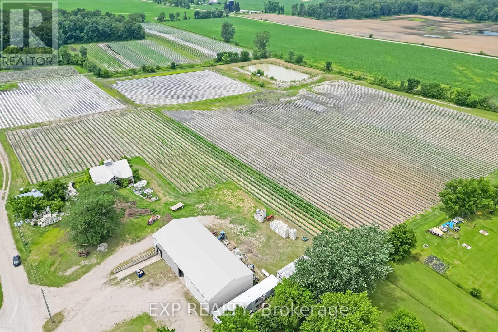 11 Tucker Street, Newbury, Ontario  N0L 1Z0 - Photo 4 - X9016152