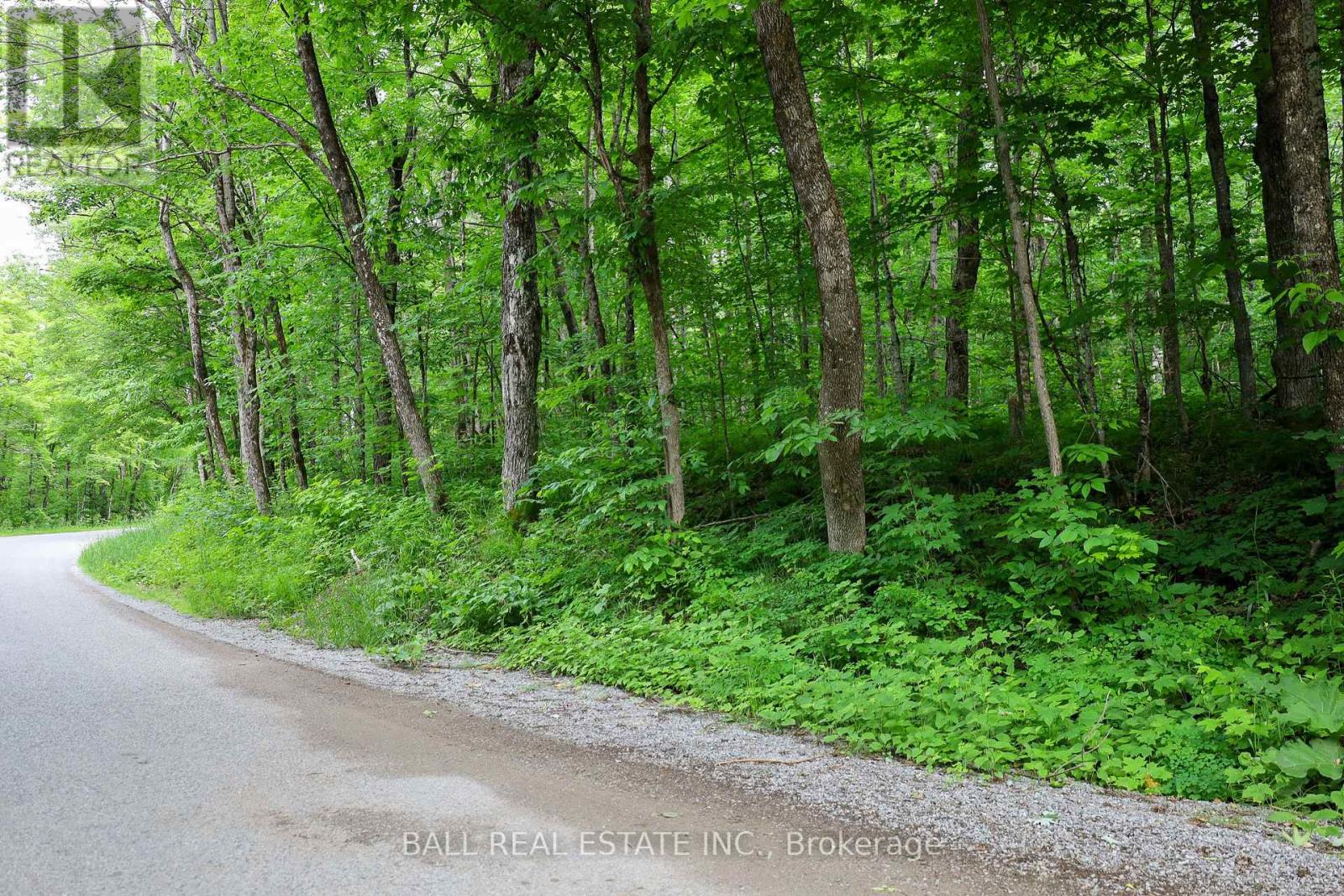 0 Northern Avenue, Galway-Cavendish And Harvey, Ontario  K0M 1A0 - Photo 6 - X8427234