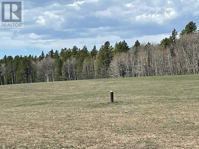 336 Street, Rural Foothills County, Alberta  T0L 1W0 - Photo 3 - A2131487