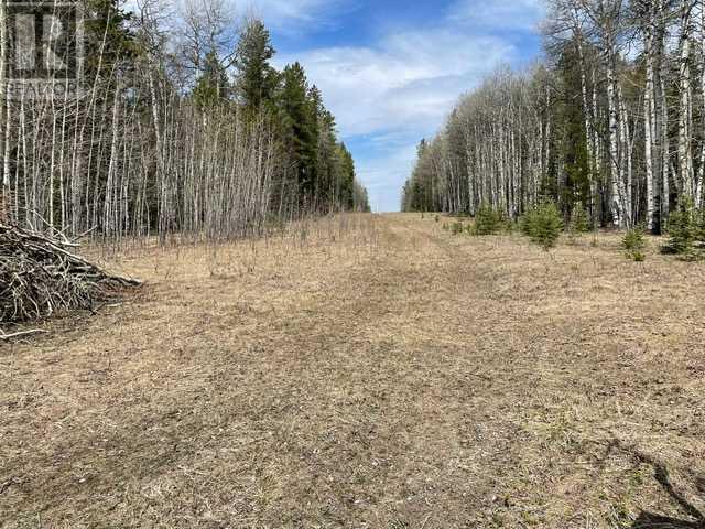 336 Street, Rural Foothills County, Alberta  T0L 1W0 - Photo 6 - A2131487