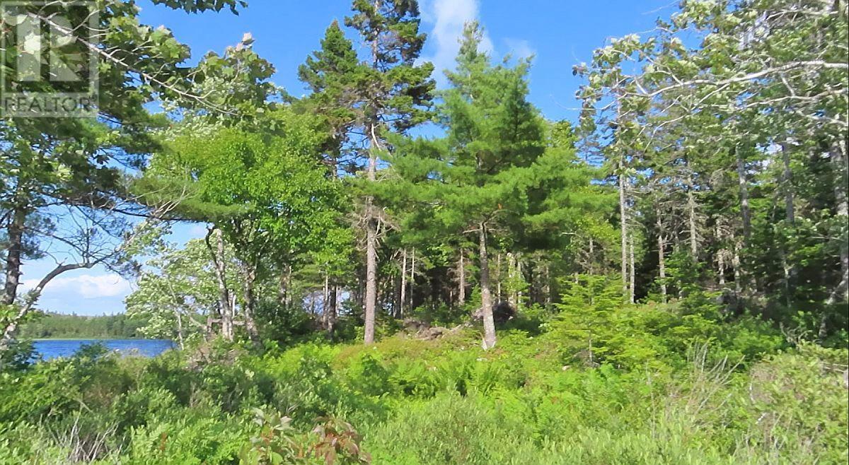 Lot 7 Theresa, Third Lake Lane, Grande Anse, Nova Scotia  B0E 1V0 - Photo 18 - 202416042