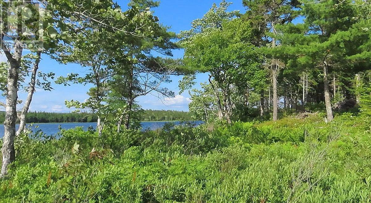 Lot 7 Theresa, Third Lake Lane, Grande Anse, Nova Scotia  B0E 1V0 - Photo 19 - 202416042