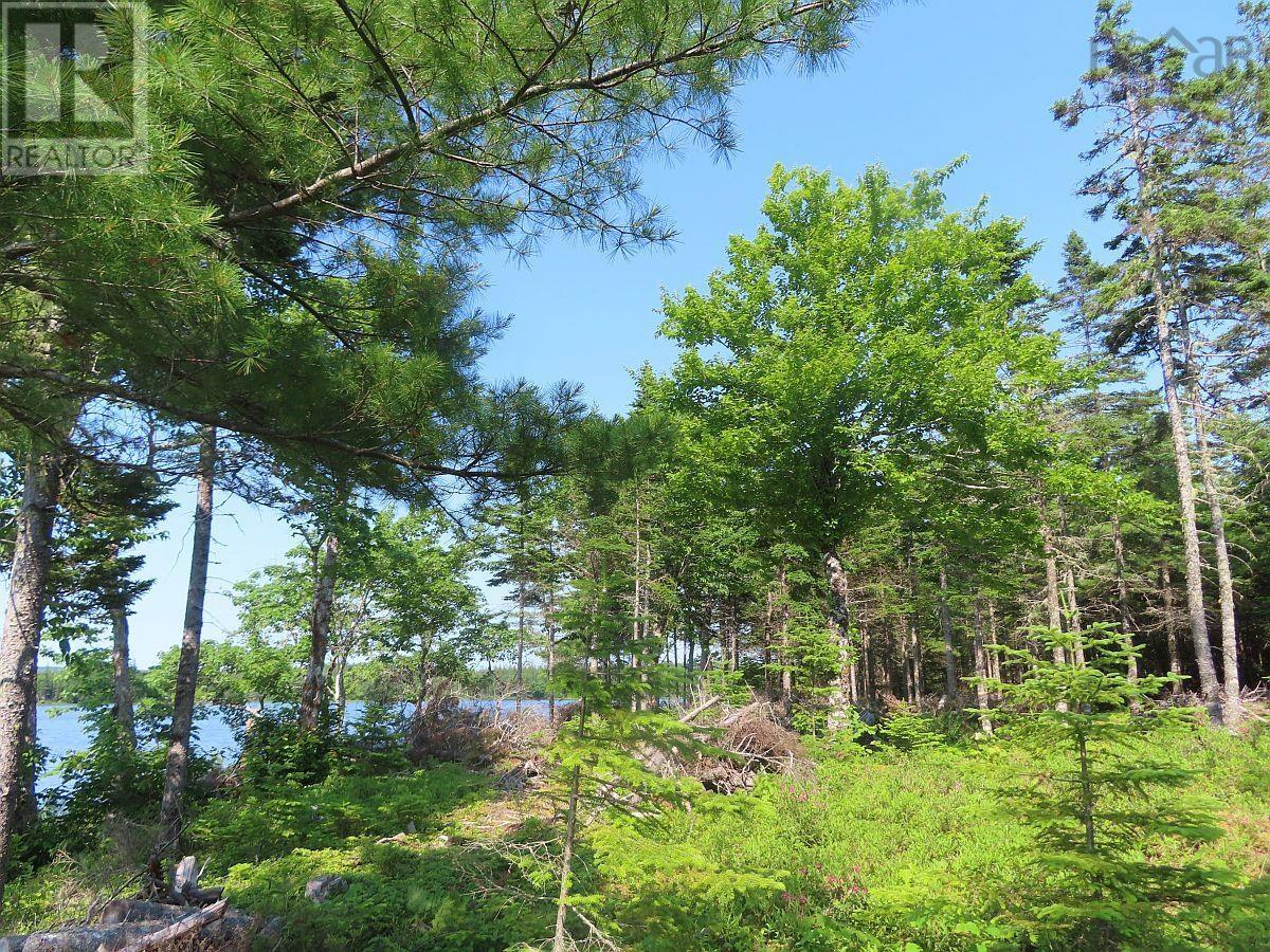 Lot 7 Theresa, Third Lake Lane, Grande Anse, Nova Scotia  B0E 1V0 - Photo 20 - 202416042