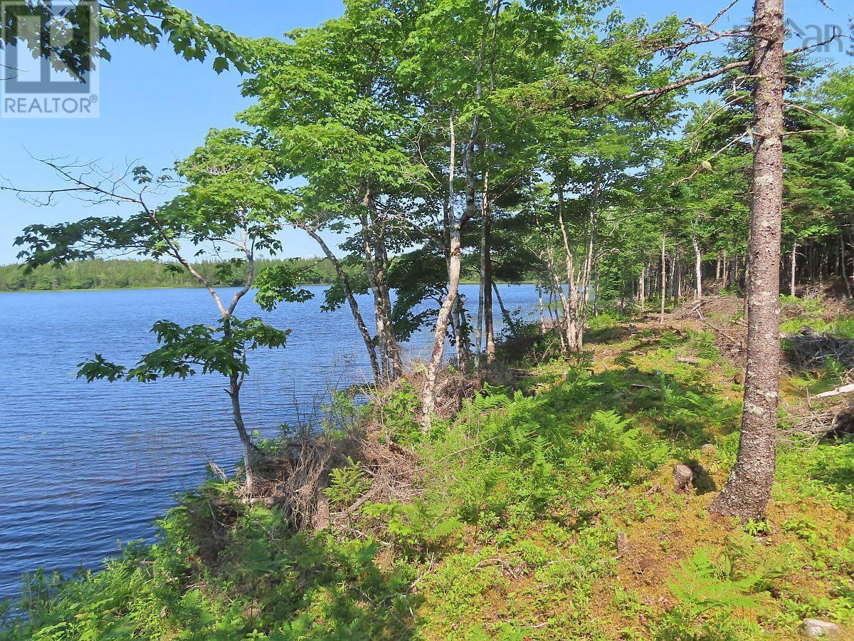 Lot 7 Theresa, Third Lake Lane, Grande Anse, Nova Scotia  B0E 1V0 - Photo 21 - 202416042