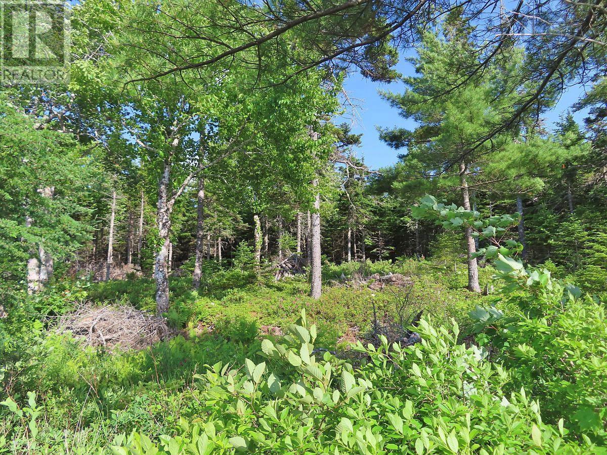 Lot 7 Theresa, Third Lake Lane, Grande Anse, Nova Scotia  B0E 1V0 - Photo 22 - 202416042