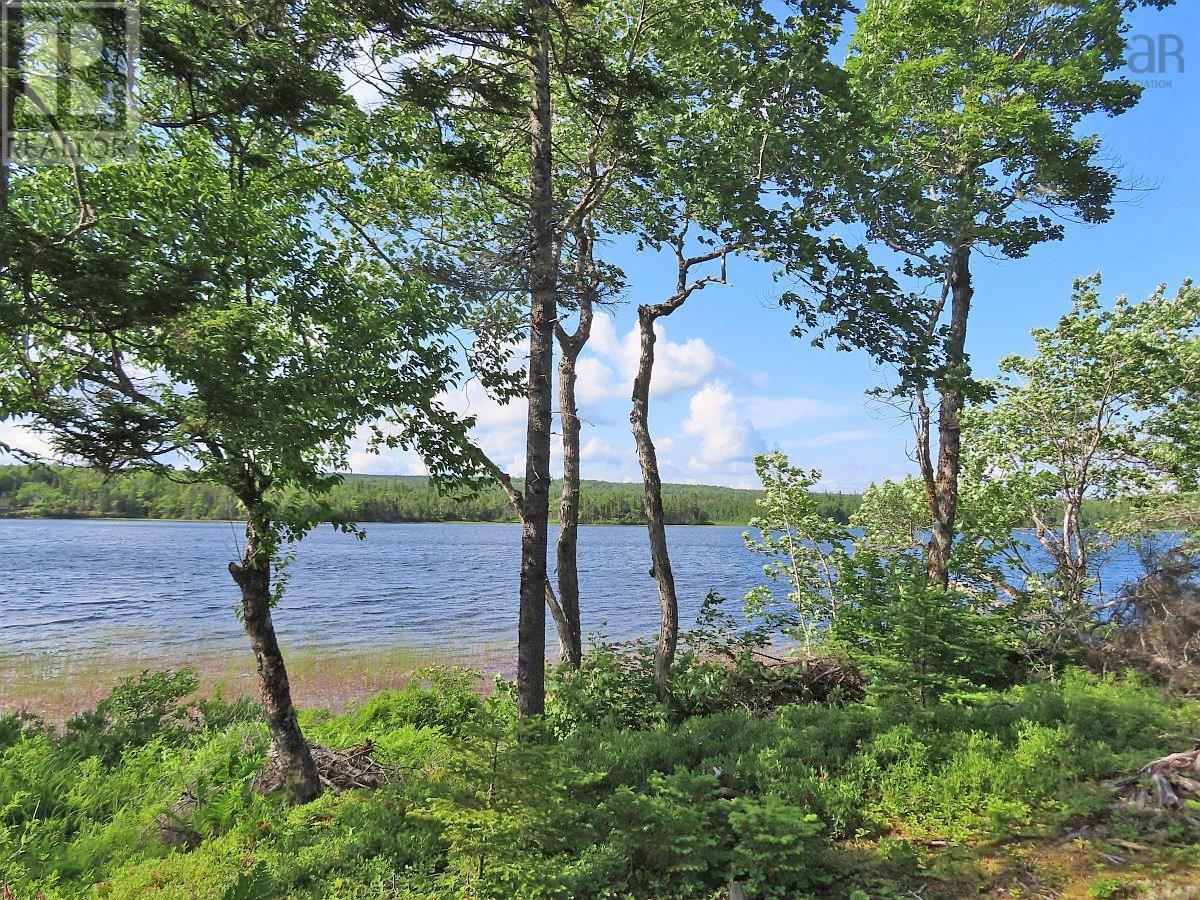Lot 7 Theresa, Third Lake Lane, Grande Anse, Nova Scotia  B0E 1V0 - Photo 29 - 202416042