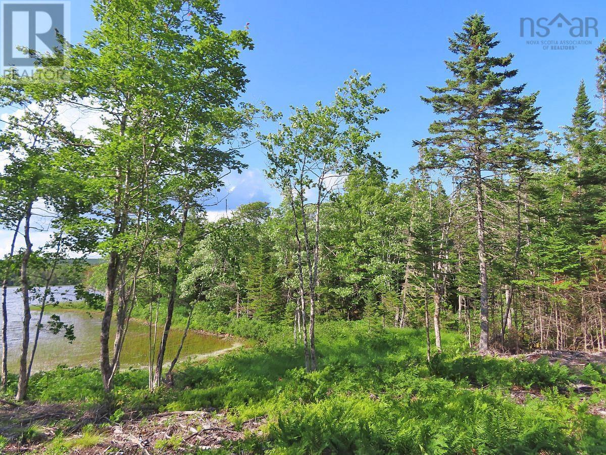 Lot 7 Theresa, Third Lake Lane, Grande Anse, Nova Scotia  B0E 1V0 - Photo 30 - 202416042