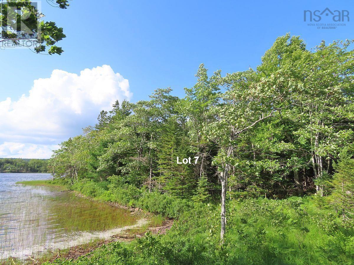 Lot 7 Theresa, Third Lake Lane, Grande Anse, Nova Scotia  B0E 1V0 - Photo 33 - 202416042